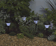 Solar Powered Plastic Lights - Pack of 10
