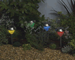 Solar Powered Stainless Steel Dual Function Lights - Pack of 8