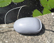 Solar Powered Day and Night Oxygenator