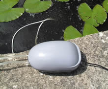 Solar Powered Day and Night Oxygenator
