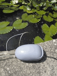 Solar Powered Oxygenator