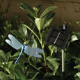 Solar Powered Flutterby Dragonfly