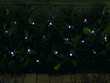 Solar Powered Dragonfly Light String