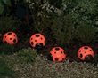 Solar Powered Light Set - Ladybirds
