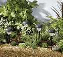 Solar Powered Multi Coloured Lights - Pack of 4