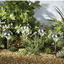 Stainless Steel Solar Coloured Lights - Pack of 8