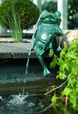 Frog pond Spitter