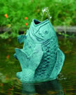 Koi Pond Spitter