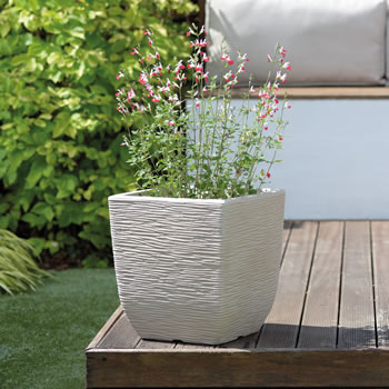Image of EX-DISPLAY / COLLECTION ONLY -Cotswold Square Planter, Limestone Grey - 32cm