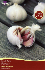 Flavour French Garlic Bulbs (Spring Planting)