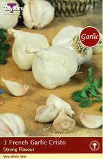 Spring Planting Garlic Bulbs - Cristo (3 Bulbs)