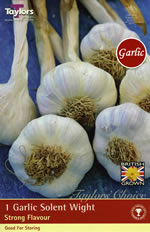 Solent Wight Garlic Bulbs (Spring Planting)