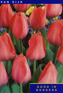 Van Eijk - Bulk Tulip Bulb Bags