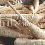Thompson and Morgan Parsnip - Albion F1 Hybrid