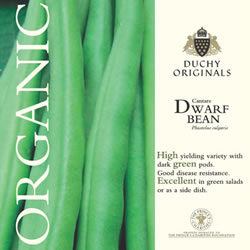 Duchy Originals Cantare Dwarf Bean Seeds