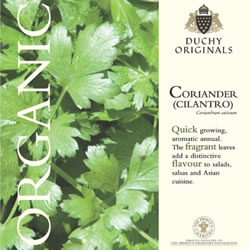 Duchy Originals Cilantro Coriander Herb Seeds