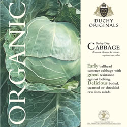 Duchy Originals Derby Day Cabbage Seeds