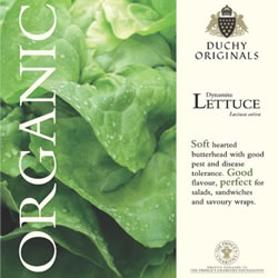 Duchy Originals Dynamite Butterhead Lettuce Seeds