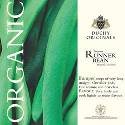 Duchy Originals Enorma Runner Bean Seeds