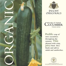 Duchy Originals Picolino Cucumber Seeds