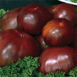Thompson and Morgan Heritage Collection Black Russian Tomato Seeds