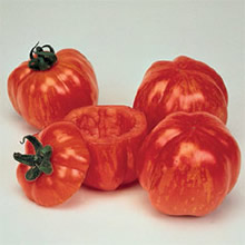 Thompson and Morgan Heritage Collection Striped Stuffer Tomato Seeds