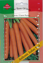 Italian Carota Fucino Carrot Seeds