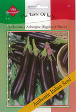 Italian Melanzana Viserba Aubergine Seeds