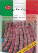 Italian Fagioli Nani Splendido (Borlotto Bean) Bush Bean Seeds