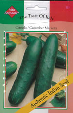 Italian Cetriolo Marketer Cucumber Seeds