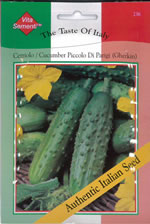Italian Cetriolo Piccolo Di Parigi (Gherkin) Seeds