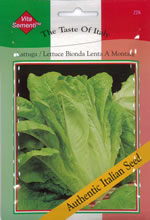 Italian Lattuga Bionda Lenta a Montare Lettuce Seeds