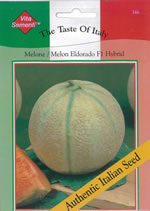 Italian Eldoraro F1 Hybrid Melon Seeds
