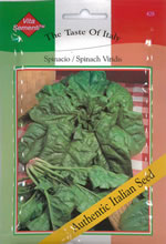 Italian Spinacio Viridis Spinach Seeds