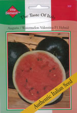 Italian Anguria Valentina F1 Hybrid Watermelon seeds