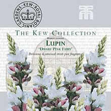 The Kew Collection Lupin Dwarf Fairy Pink Seeds