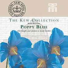The Kew Collection Poppy (Meconopsis) grandis Seeds