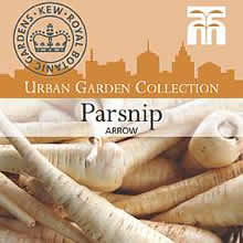 Kew Urban Arrow Parsnip Vegetable Seeds