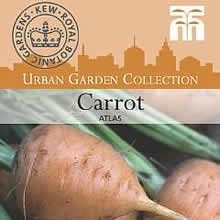 Kew Urban Atlas Carrot Vegetable Seeds