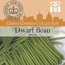 Kew Urban Bellini Dwarf Bean Vegetable Seeds