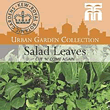 Kew Urban Cut 