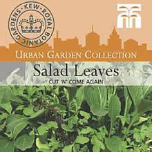Kew Urban Cut 'n' Come Again Salad Leaves vegetable Seeds