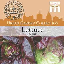 Kew Urban Dazzle Lettuce Vegetable Seeds