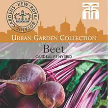 Kew Urban Cardeal F1 Hybrid Beetroot Vegetable Seeds