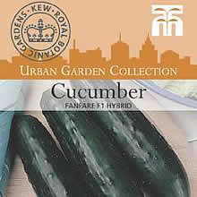 Kew Urban Fanfare F1 Hybrid Cucumber Vegetable Seeds