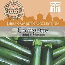 Kew Urban Firenze F1 Hybrid Courgette Vegetable Seeds