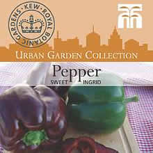 Kew Urban Ingrid Sweet Pepper Vegetable Seeds