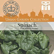 Kew Urban Picasso F1 Hybrid Spinach Vegetable Seeds