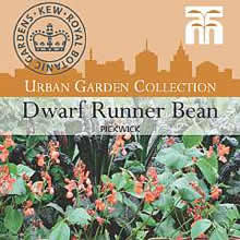 Kew Urban Pickwick Dwarf Runner Bean Vegetable Seeds