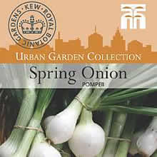 Kew Urban Pompeii Spring Onion Vegetable Seeds